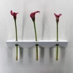 Soliflore design et décoratif vase mural moderne étagère blanche