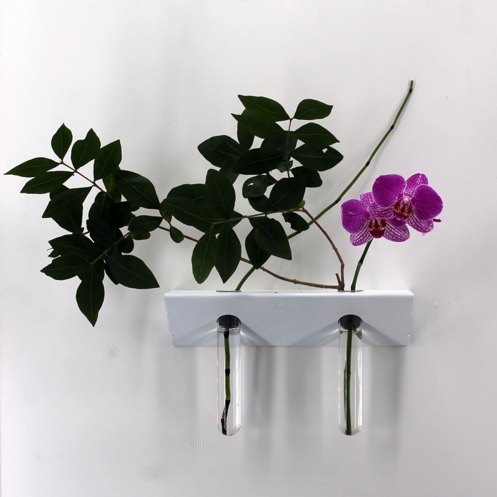 soliflore mural vase moderne cadeau original