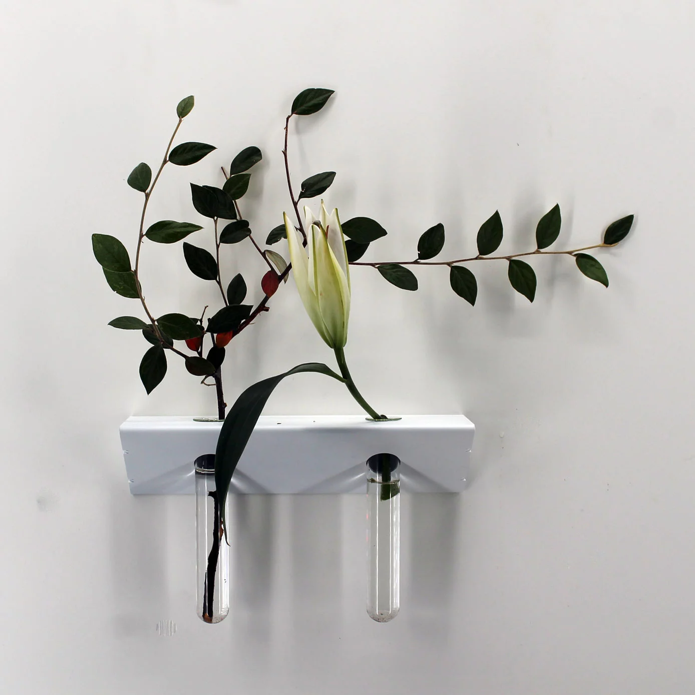 soliflore murale moderne vase mural original design tubes verre