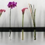 Soliflore design et décoratif vase mural moderne étagère noire