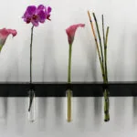 Soliflore design et décoratif vase mural moderne étagère noire
